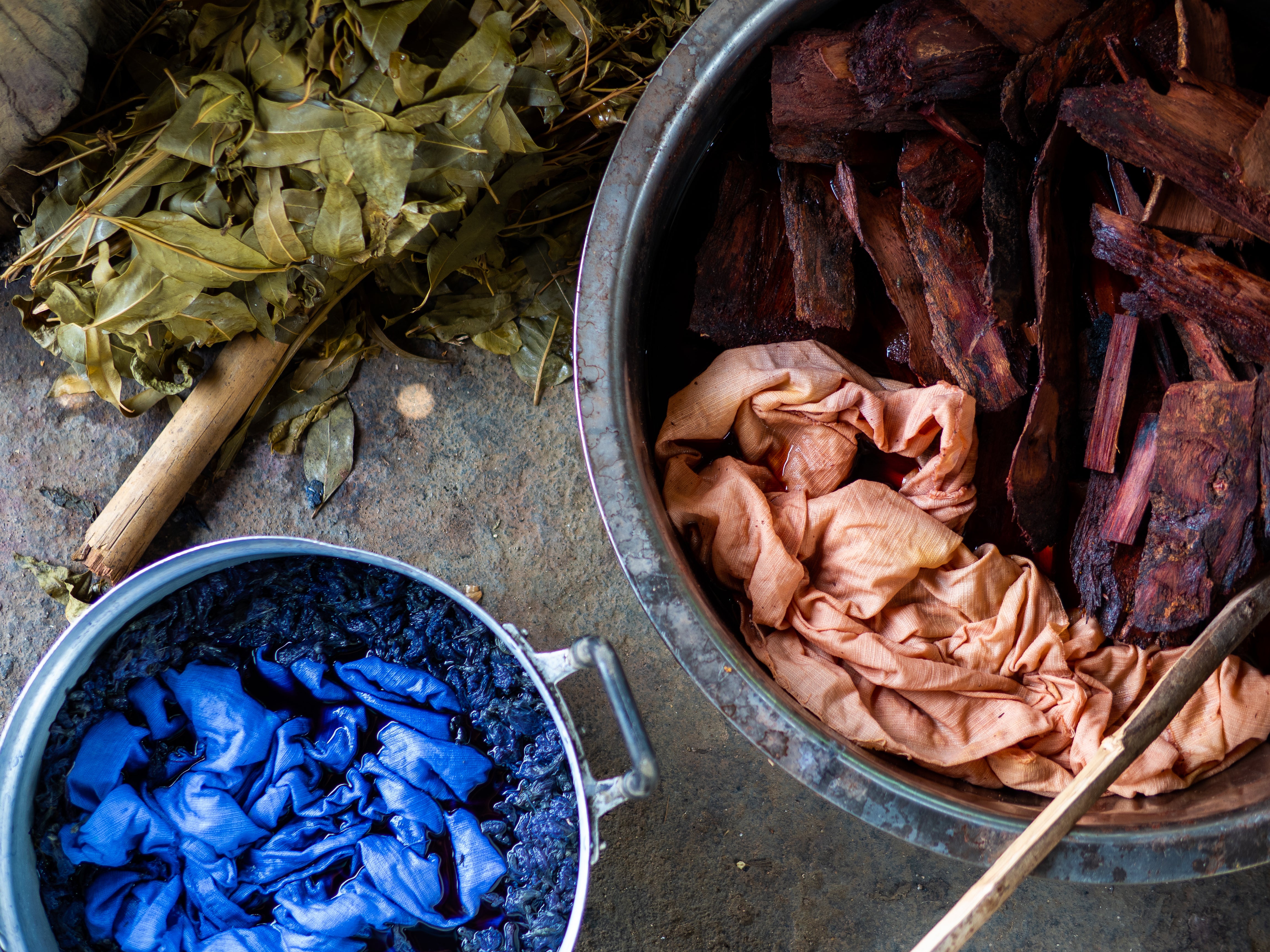 INDIGO DYE, NATURAL DYE PROCESS, INDIGO PLANT